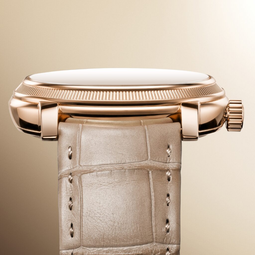 Parmigiani Fleurier TORIC Quantième Perpétuel Case
